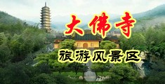 美女的屄被操中国浙江-新昌大佛寺旅游风景区